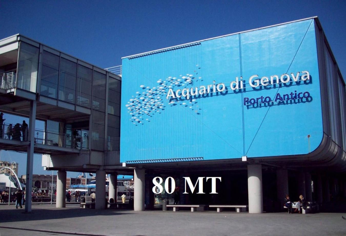 Acquario 2